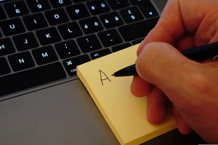 Key Points for Choosing a High-Class Pinsaro in Tokyo